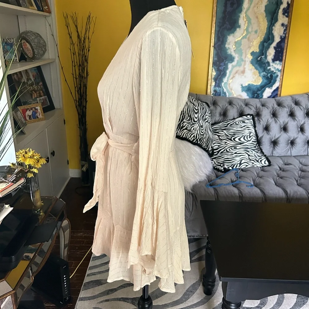 Fashion Nova cream with silver stripes short set zip up back. Plunging neckline.